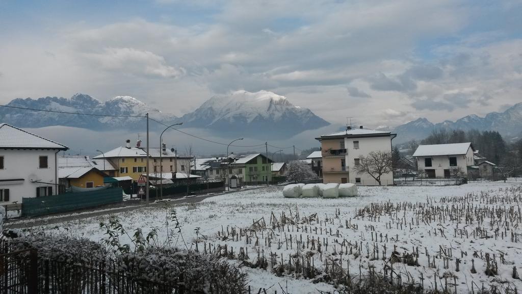 B&B Colli'S Dolomites Belluno Exteriör bild